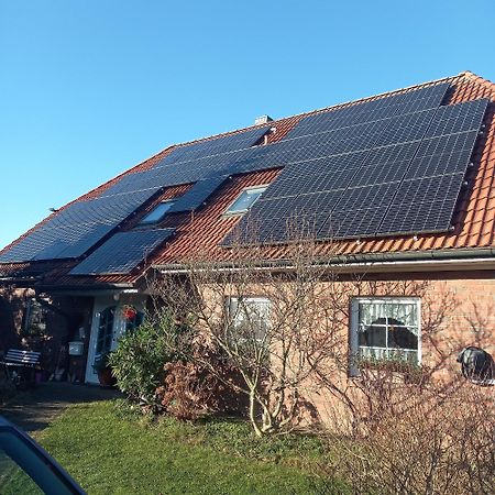 Ferienwohnung Haus Moewennest Gelting Exterior foto